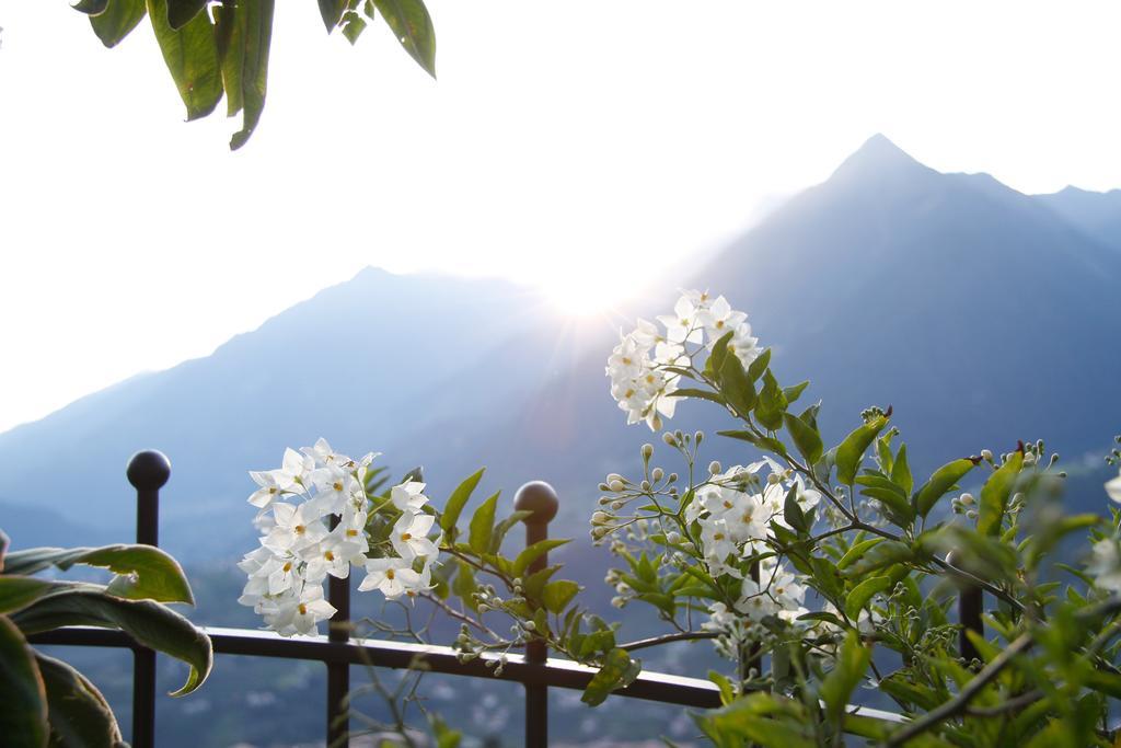 Hotel Alpenrose Schenna Εξωτερικό φωτογραφία